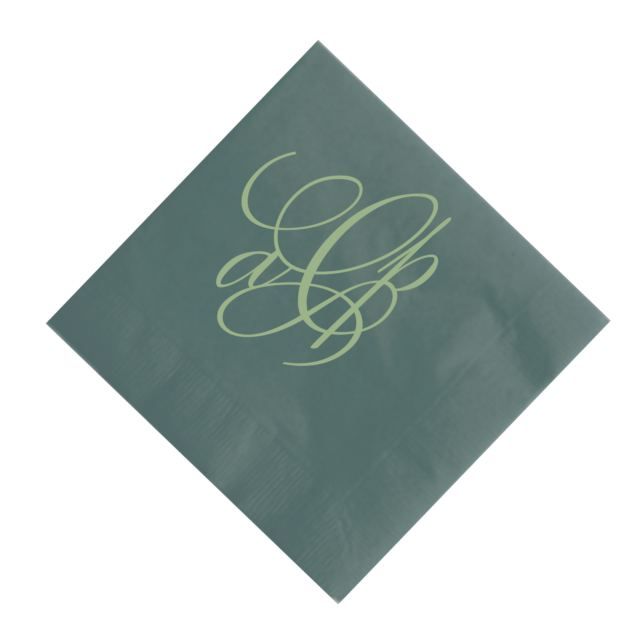 Elegant Mono Napkins