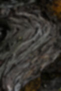 DSC02657.JPG
