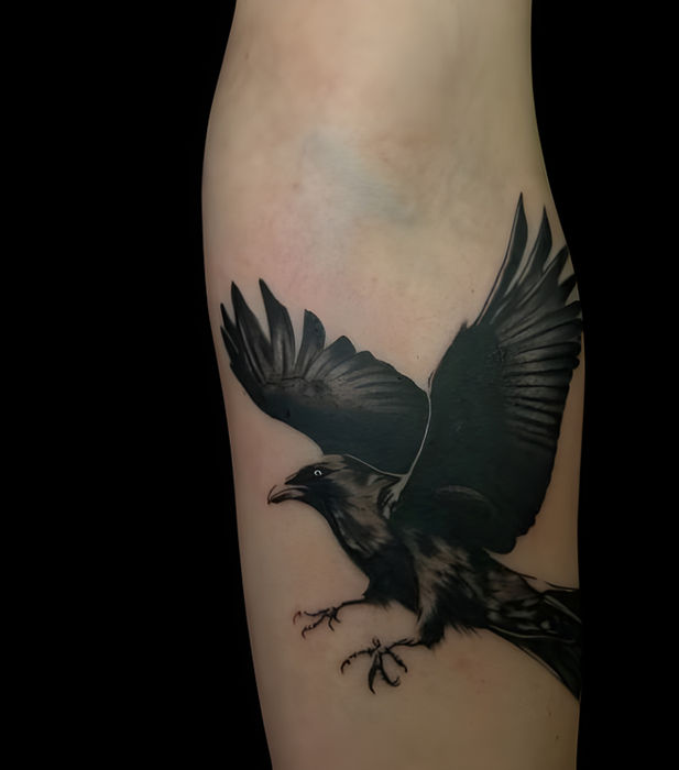 Black grey raven bird tattoo Mindcrusher Tattoo Edgewater Chicago
