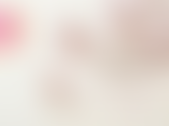 最新の展覧会情報について