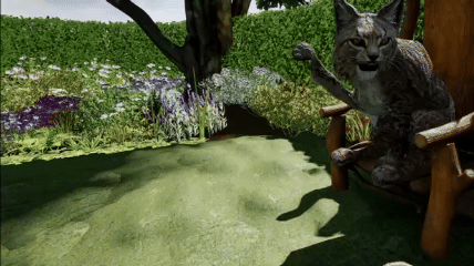 LG Neit Mindbody Loop.gif