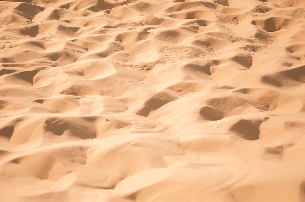 11062b_875c253347794e1c9d7b6dc0a2d96303~mv2-Tropical.png