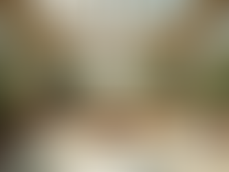 Luxury Conservatory Designs: Combining Functionality and Elegance