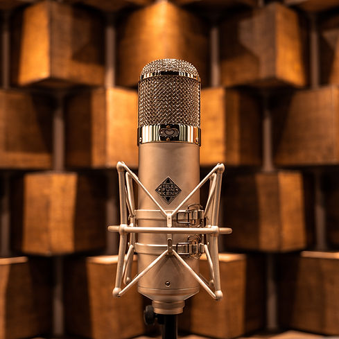 Microphone for web.jpg