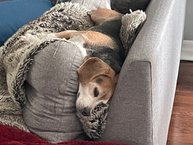 "You can get with this or you can get with that"