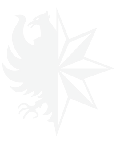 Background Eagle - 1.png