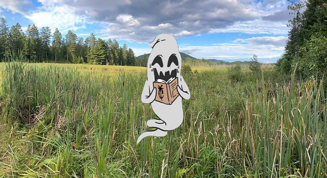 !1 ghost.jpg