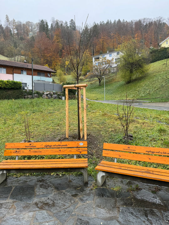 Baum, Pflanzung, Triesenberg, Gemeinde