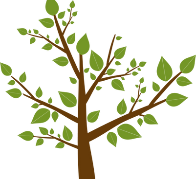 Tree%2520Leaves_edited_edited.png