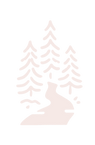 Icon of pine trees with a winding path, in light peach color on a pale background