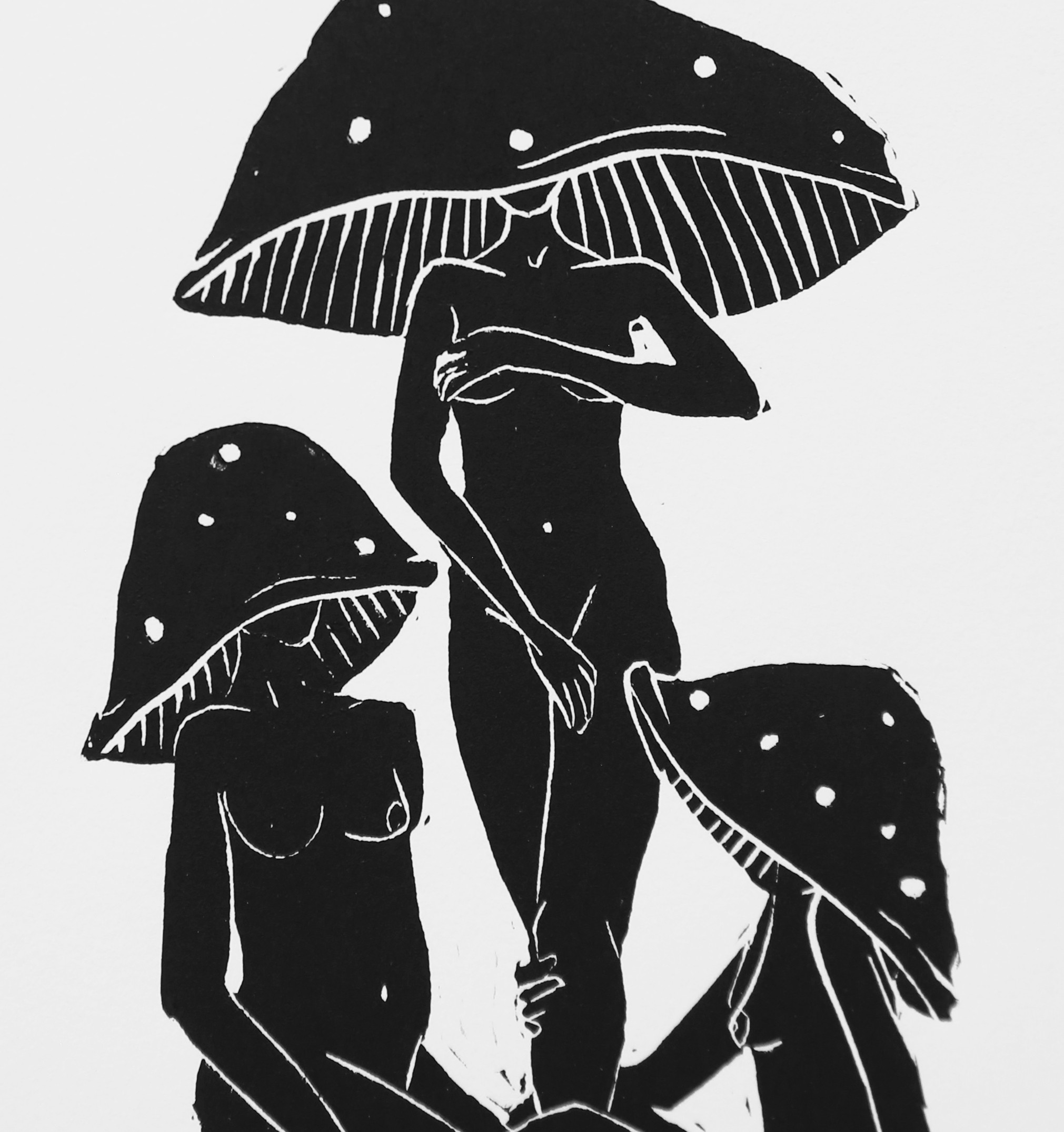The Amanitas