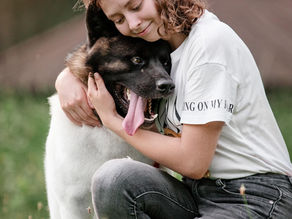 Pet Cleaning