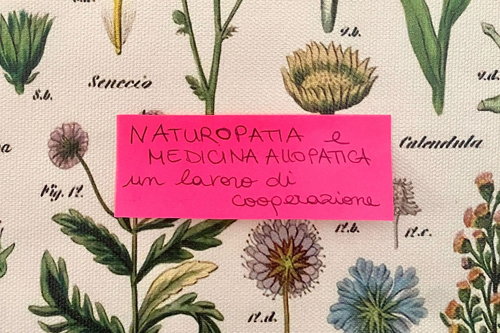 Naturopatia e medicina allopatica: un lavoro di collaborazione