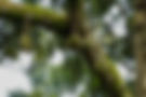 DSC04431.jpg