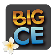 Big CE Card