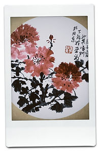 instc 2025-10-17 170617.199.JPG