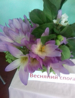 20180914_125803.jpg