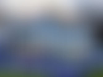 I calciatori e i loro stipendi: una riflessione sul valore della gioia