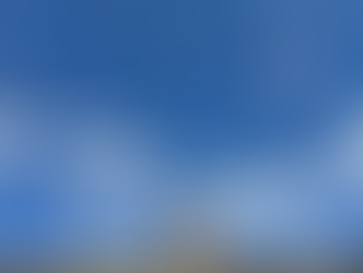 猫の日の検索って?