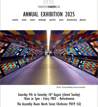 AnnEx25 Flyer A3 copy keyline.jpg