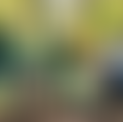 Get Involved: Volunteer Opportunities in Environmental Design Projects