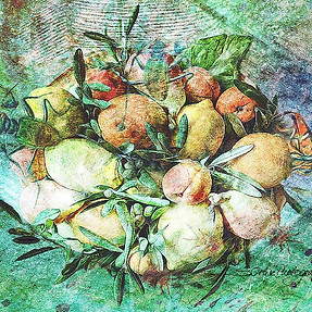 Fantasy Fruits and insects