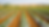envato-labs-image-edit (1).png