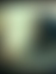 Kadın ve Kapitalist Modern