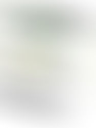 İstanbul kıyılarının yeni programı | Dolgu alanları