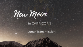 11 January 2024: ♑ Capricorn 🌑 New Moon Transmission