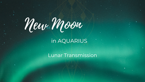 10 February 2024: ♒ Aquarius 🌑 New Moon Transmission