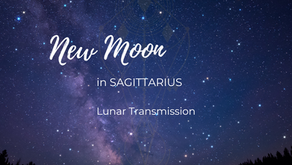 13 December 2023: ♐ Sagittarius 🌑 New Moon Transmission