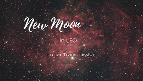 16 August 2023: ♌ Leo 🌑 New Moon Transmission