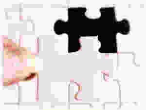 Missing piece of the puzzle