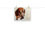 Thumbnail: Dog IV- Poster