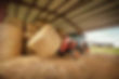 NX6010_Hay1_FQ2A360.jpg