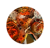 13.png