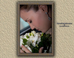 FOTOGRAFO BODAS ZARAGOZA