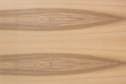 M2018 007A