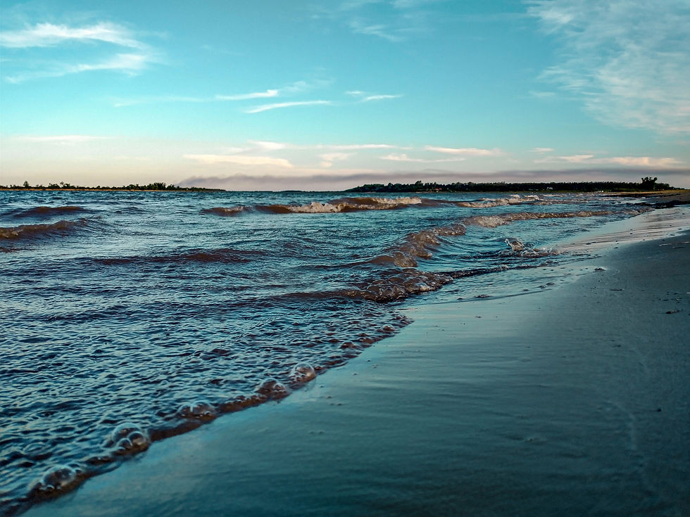 IMG_20201113_185238635_HDR.jpg