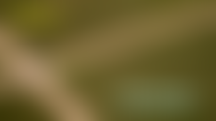 Millennial Graduates: Liberal Instincts and Business Insights 