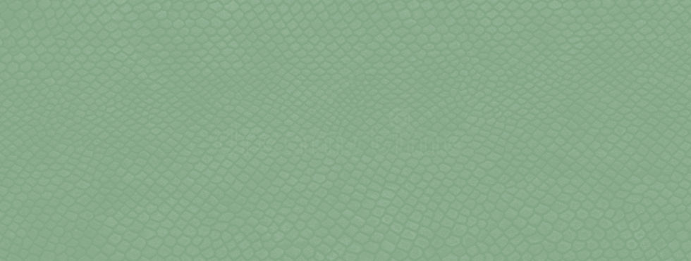 FOND Vert Serpent.jpg
