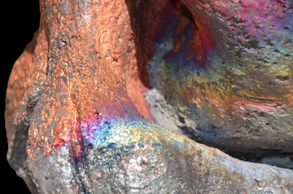 Metamorphosis (Detail), 2026