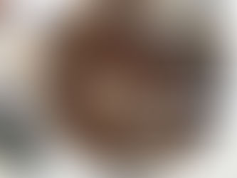 On se régale avec un bon salmis de palombes