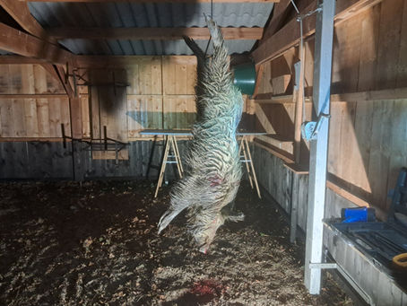 Quel avenir pour la venaison pour la chasse en France