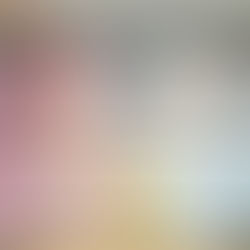 Premier formation d'ISIPCA en Chine : Evaluaion et Création de parfum