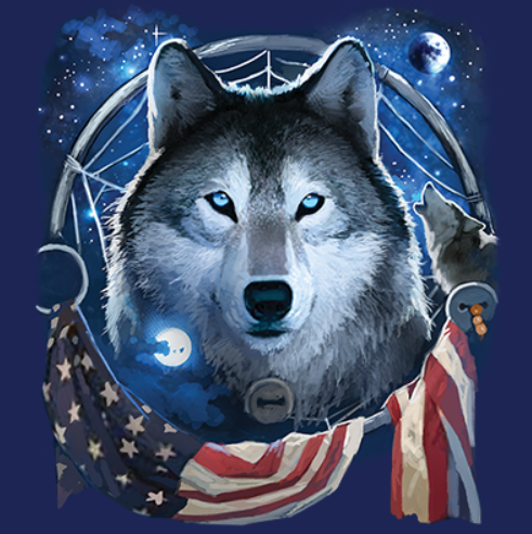 Thumbnail: Wolf face with dreamcatcher, starry night sky, planets, and American flag elements in a celestial design