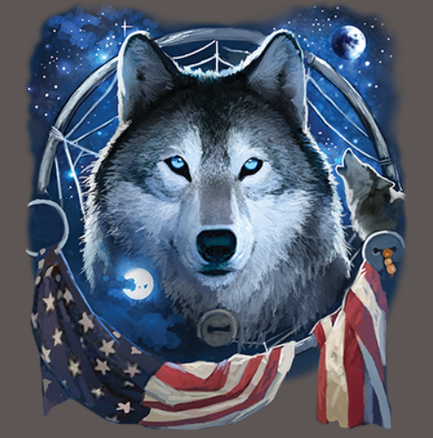 Thumbnail: Wolf face with dreamcatcher, starry night sky, planets, and American flag elements in a celestial design
