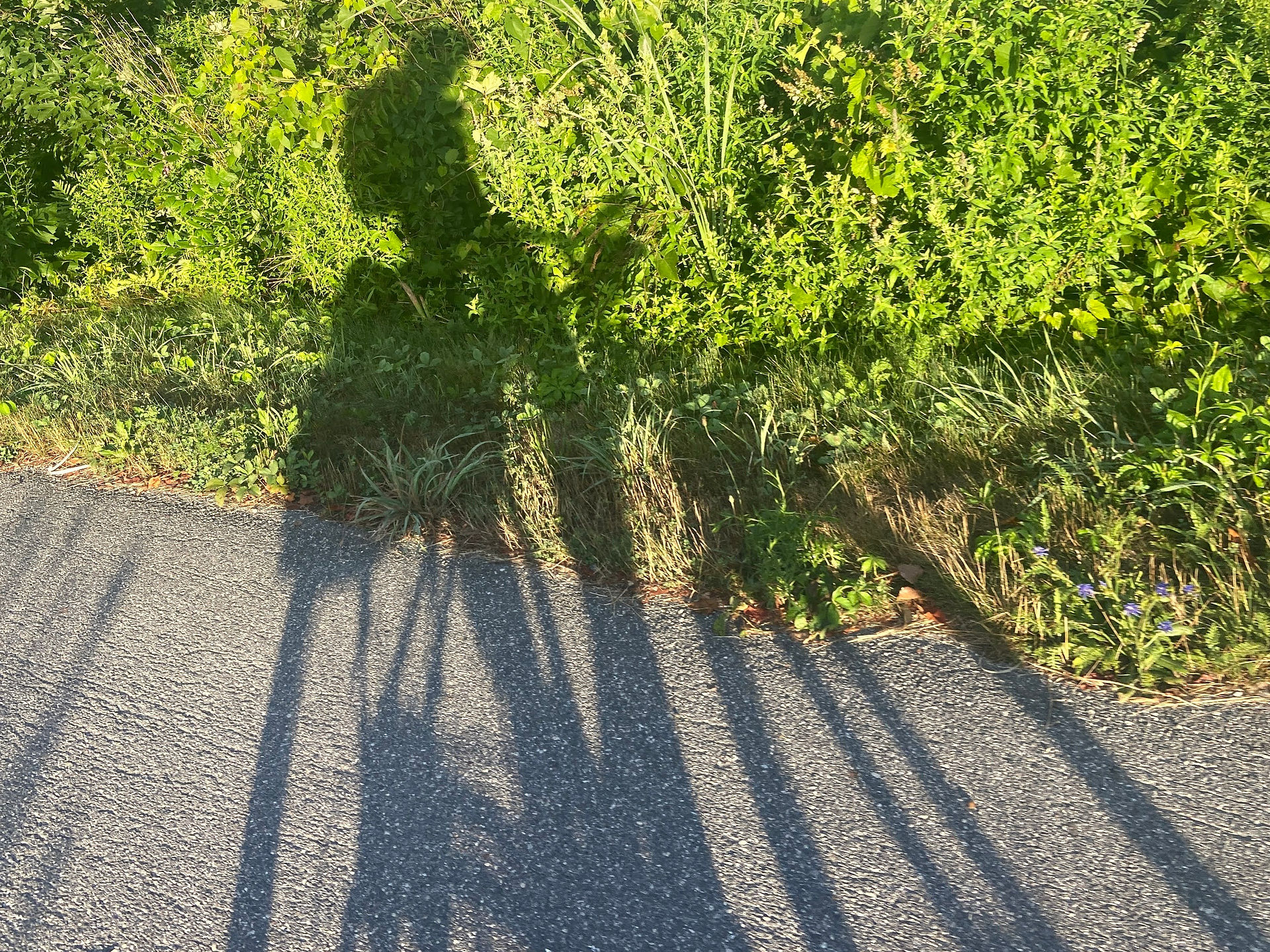 Self portrait.