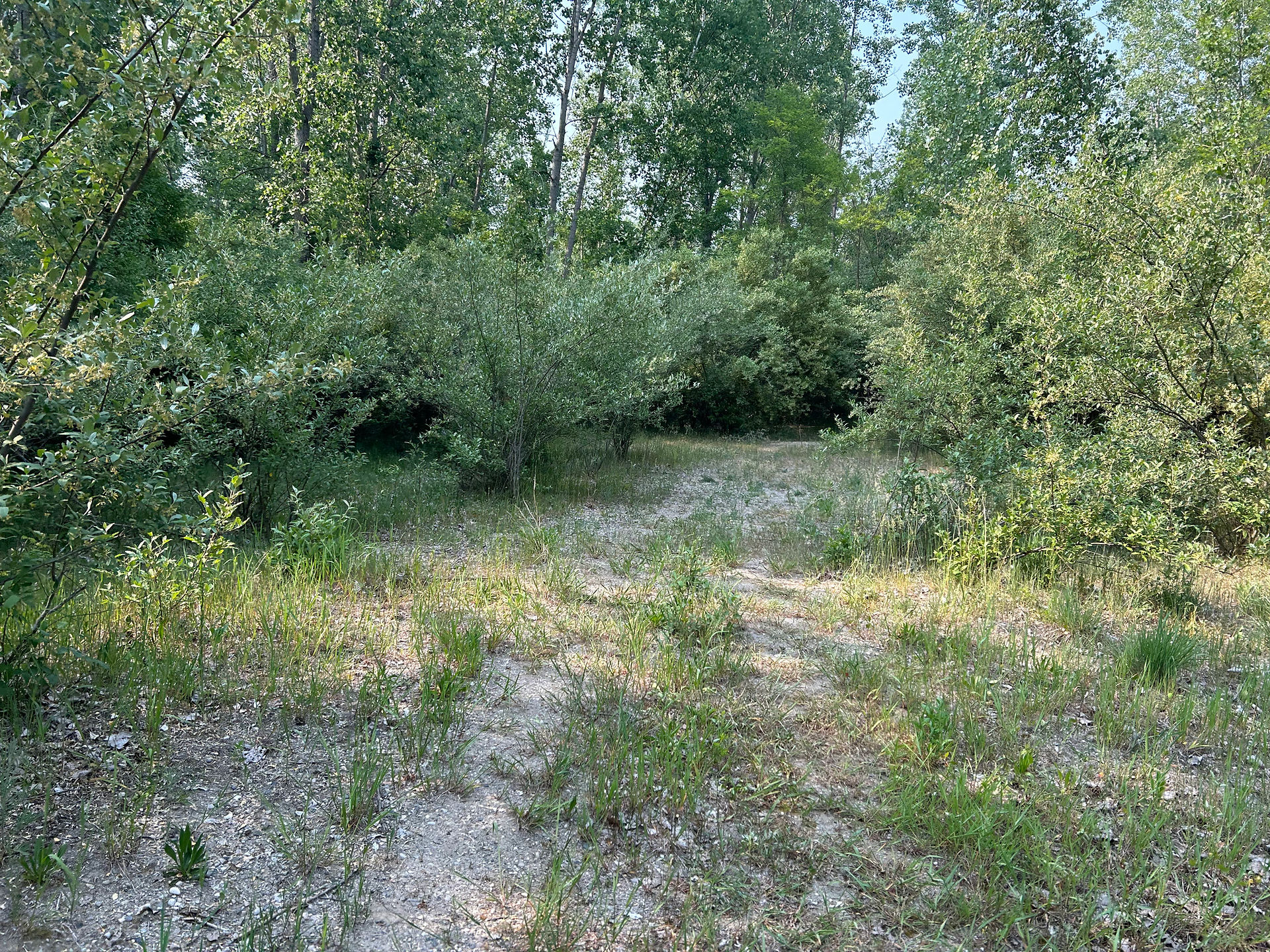 The 'road'